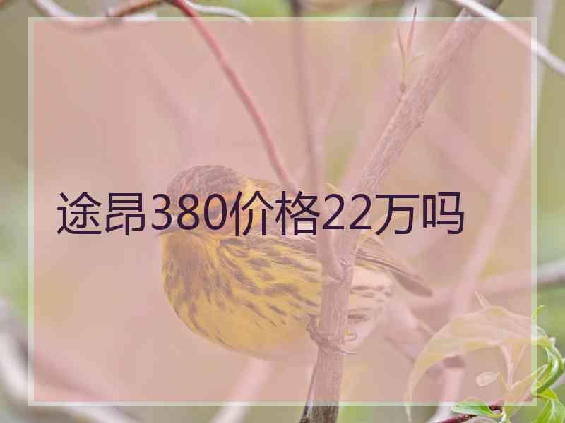 途昂380价格22万吗