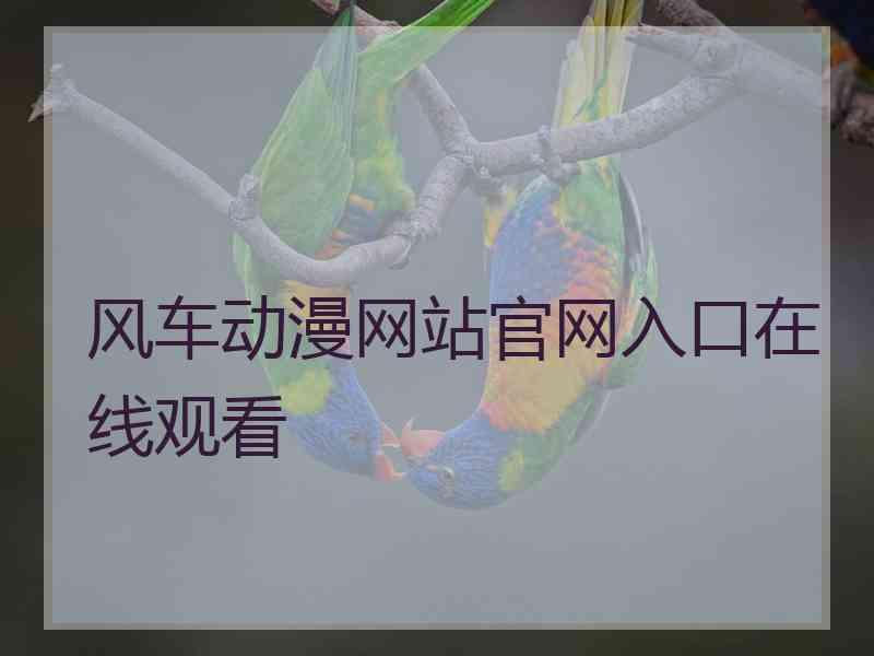 风车动漫网站官网入口在线观看