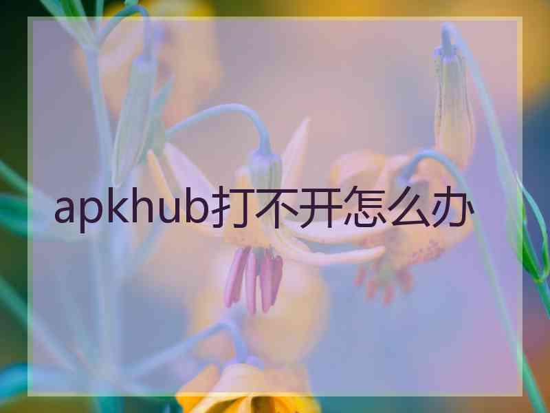 apkhub打不开怎么办