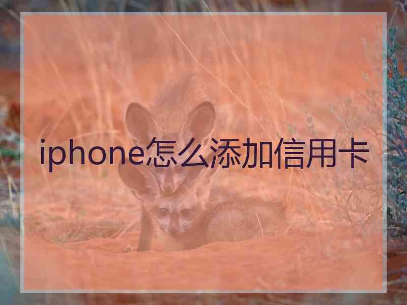 iphone怎么添加信用卡