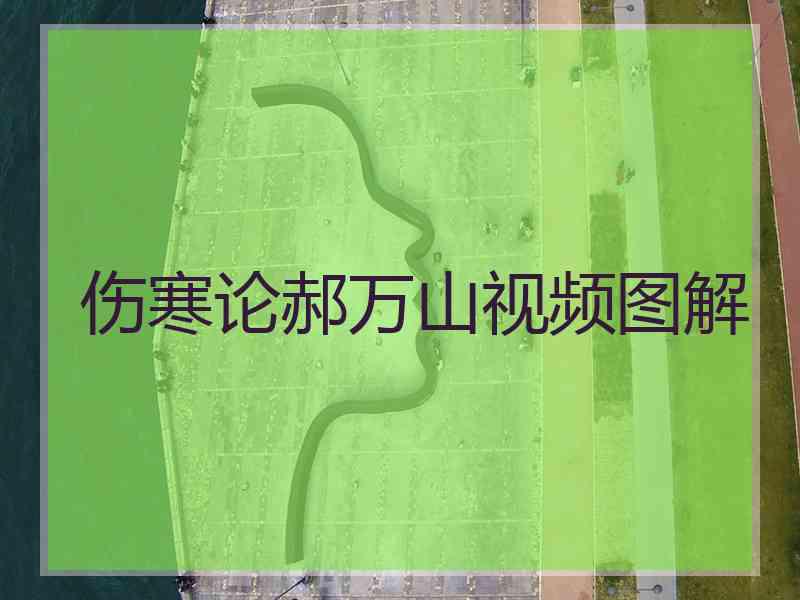 伤寒论郝万山视频图解