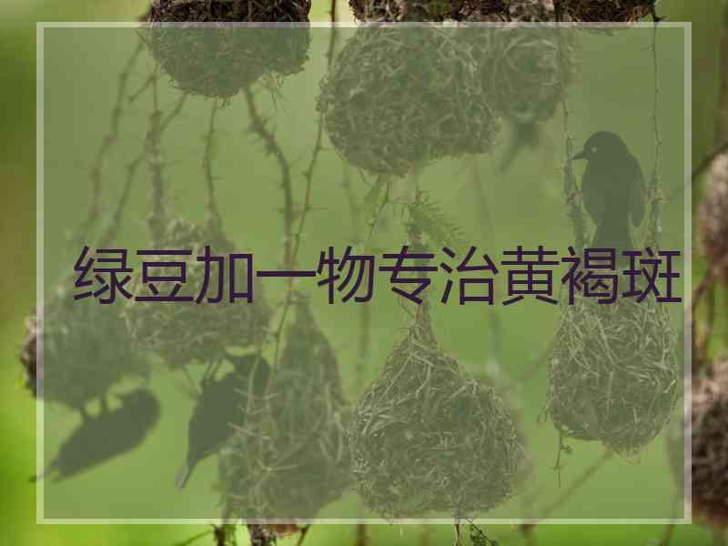 绿豆加一物专治黄褐斑