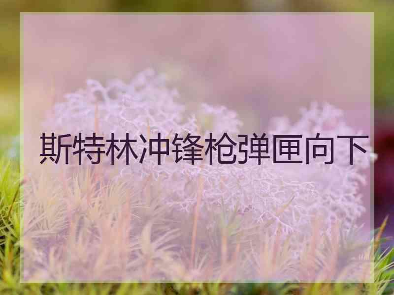 斯特林冲锋枪弹匣向下