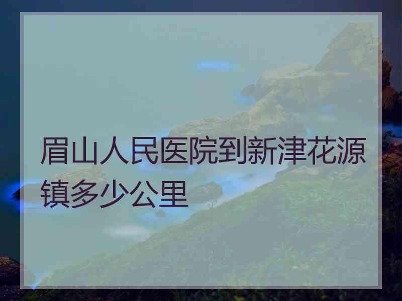 眉山人民医院到新津花源镇多少公里