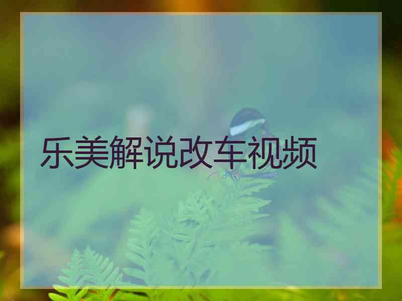 乐美解说改车视频