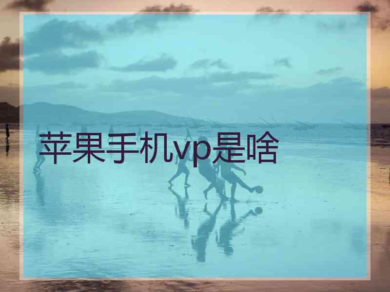 苹果手机vp是啥