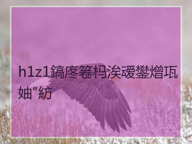 h1z1鎬庝箞杩涘叆鐢熷瓨妯″紡