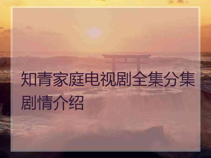 知青家庭电视剧全集分集剧情介绍