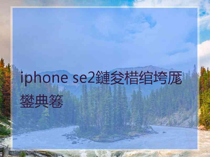 iphone se2鏈夋棤绾垮厖鐢典箞