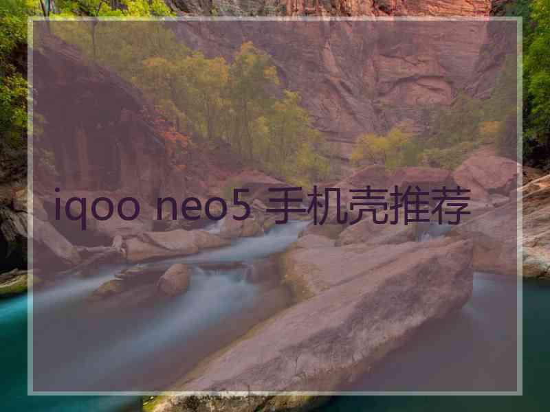 iqoo neo5 手机壳推荐