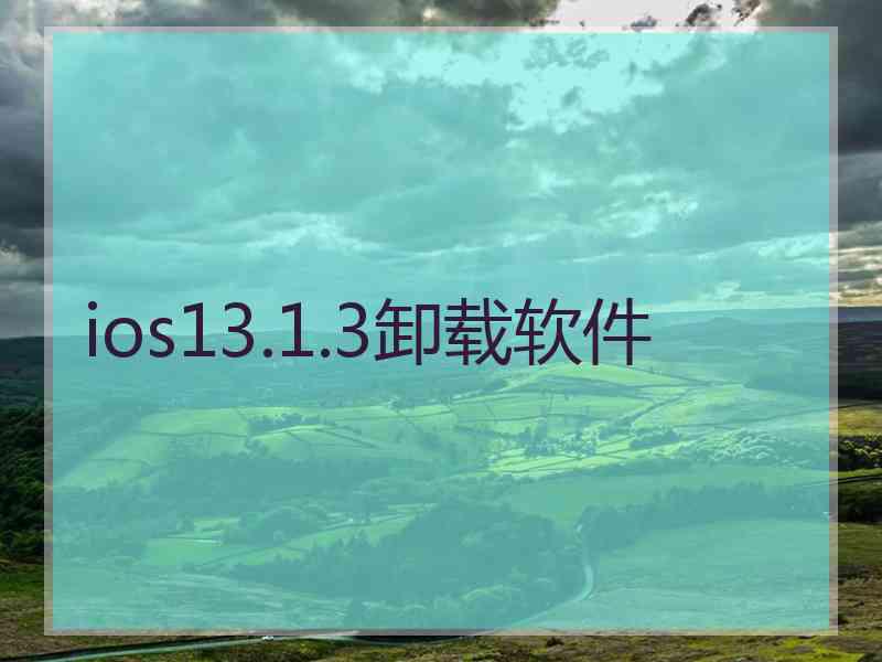 ios13.1.3卸载软件