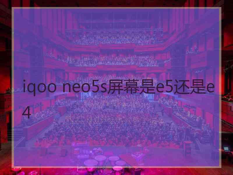 iqoo neo5s屏幕是e5还是e4