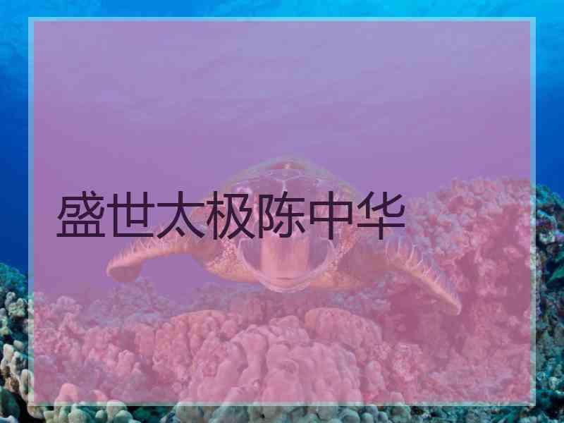 盛世太极陈中华