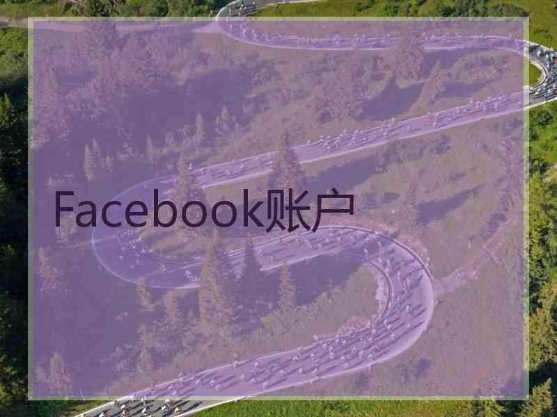 Facebook账户