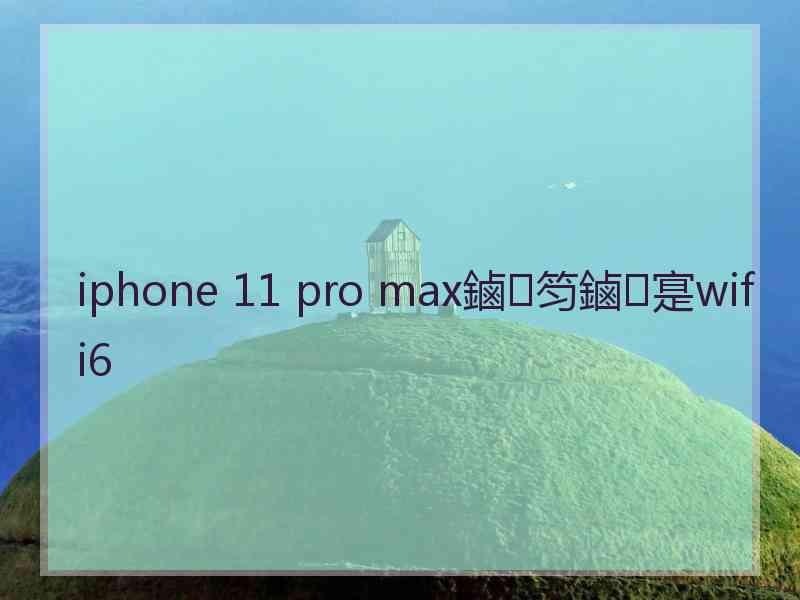 iphone 11 pro max鏀笉鏀寔wifi6