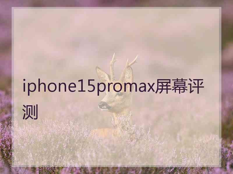 iphone15promax屏幕评测