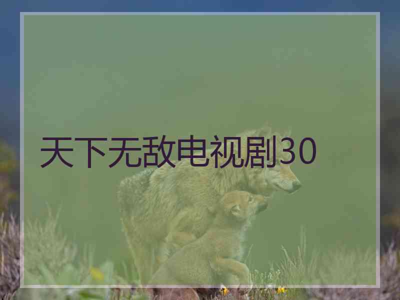 天下无敌电视剧30