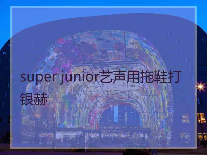 super junior艺声用拖鞋打银赫