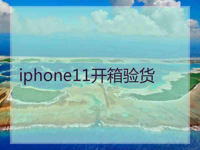 iphone11开箱验货