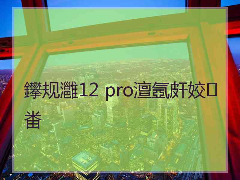 鑻规灉12 pro澶氬皯姣畨