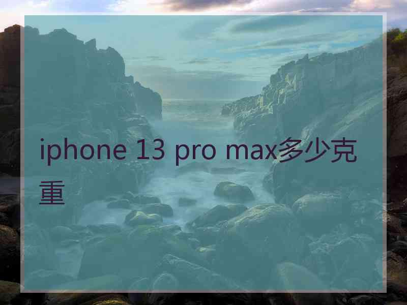 iphone 13 pro max多少克重