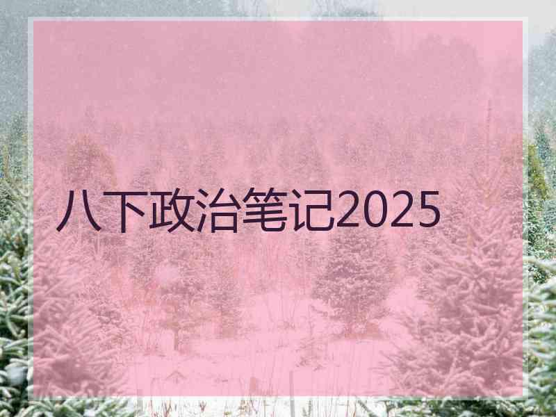 八下政治笔记2025