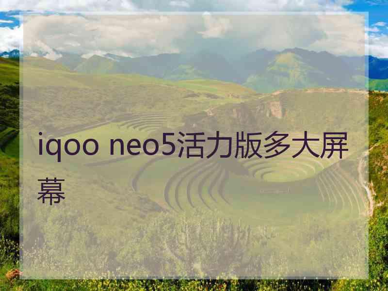 iqoo neo5活力版多大屏幕