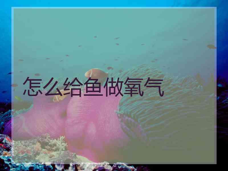 怎么给鱼做氧气