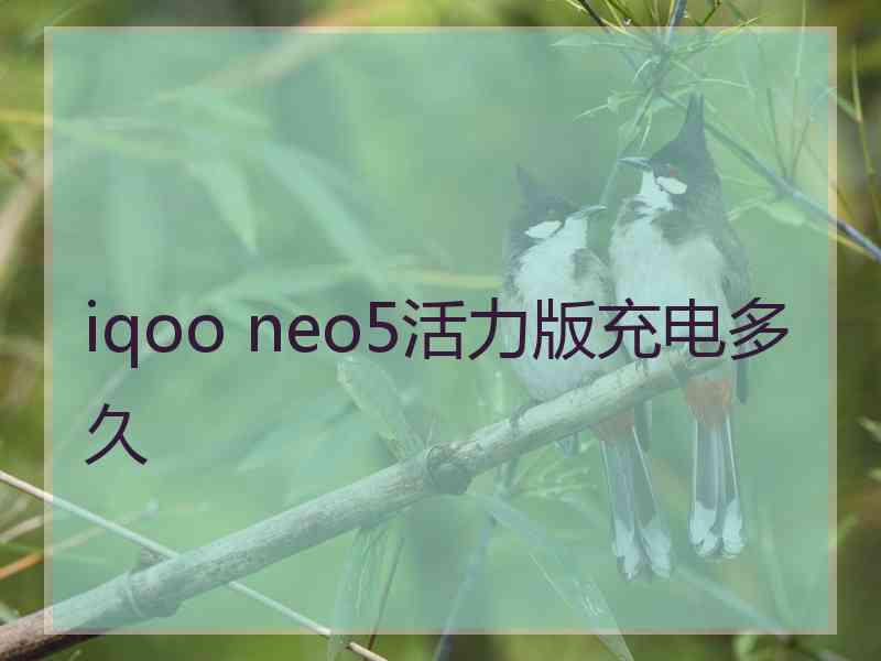 iqoo neo5活力版充电多久