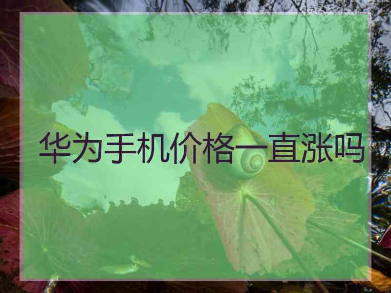 华为手机价格一直涨吗