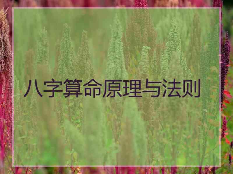 八字算命原理与法则