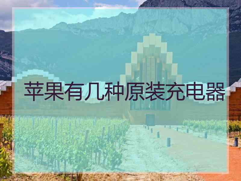 苹果有几种原装充电器