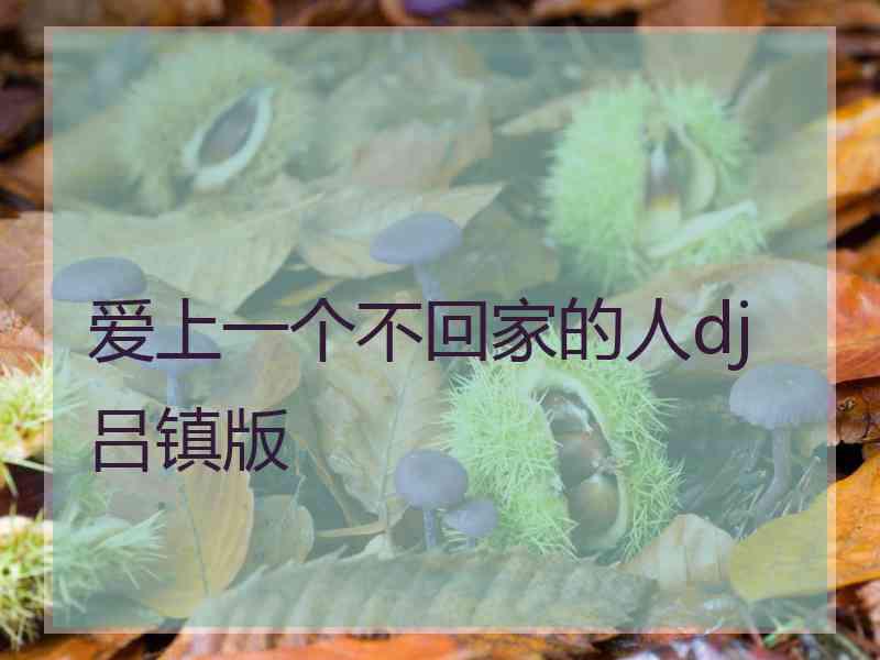 爱上一个不回家的人dj吕镇版