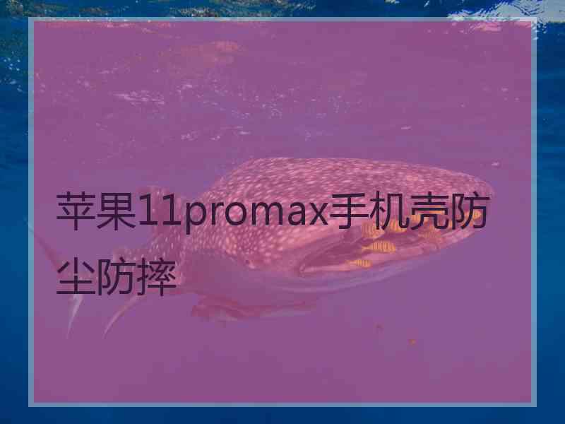 苹果11promax手机壳防尘防摔