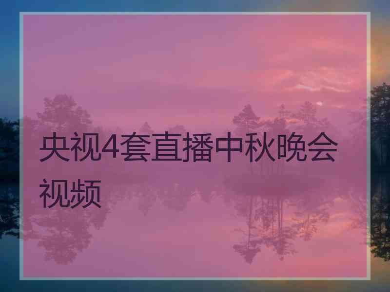 央视4套直播中秋晚会视频