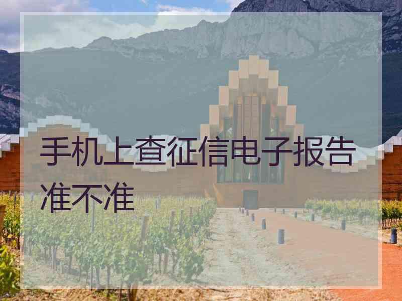 手机上查征信电子报告准不准