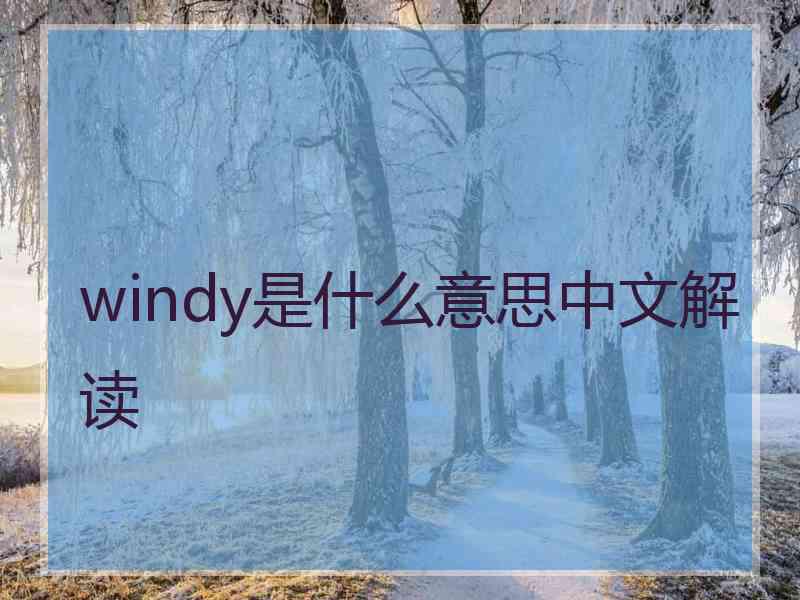 windy是什么意思中文解读