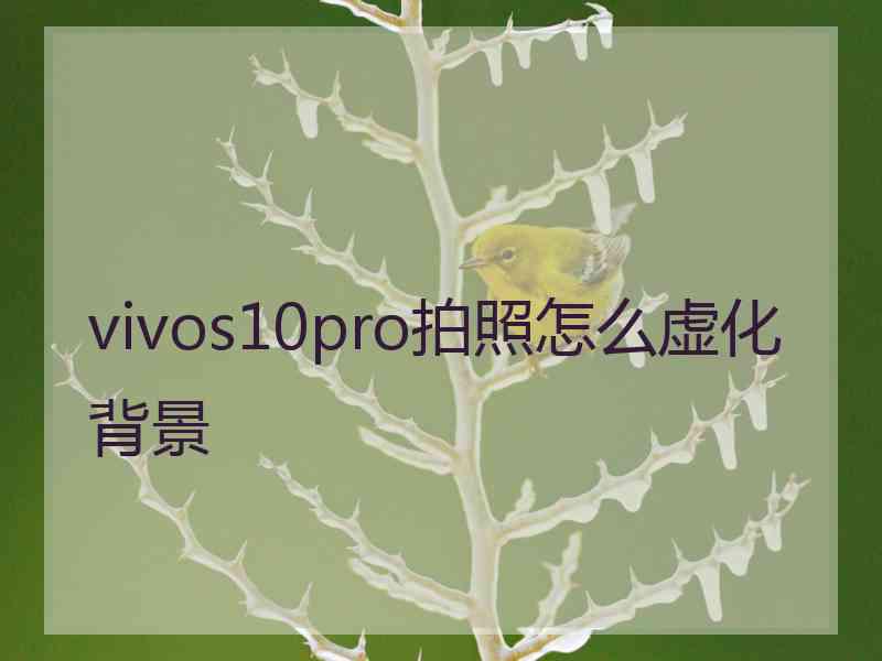 vivos10pro拍照怎么虚化背景