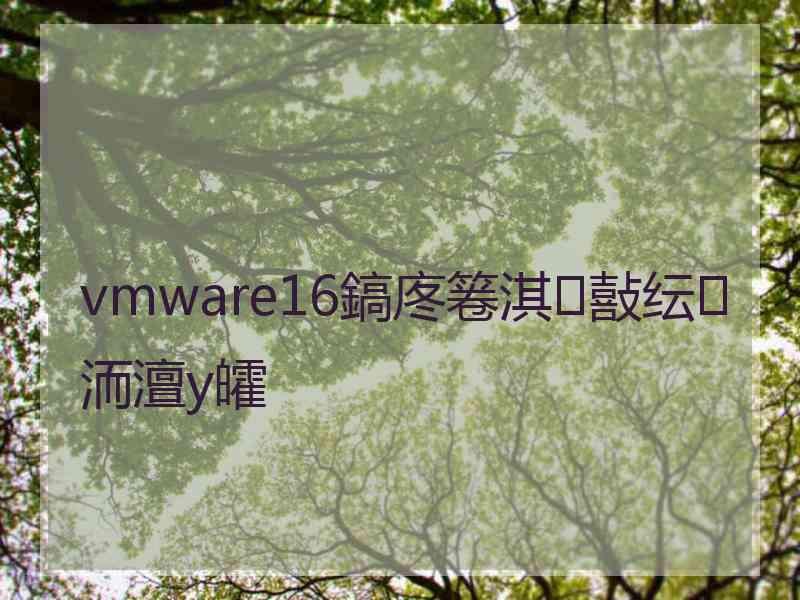 vmware16鎬庝箞淇敼纭洏澶у皬