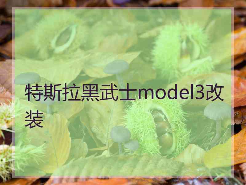 特斯拉黑武士model3改装