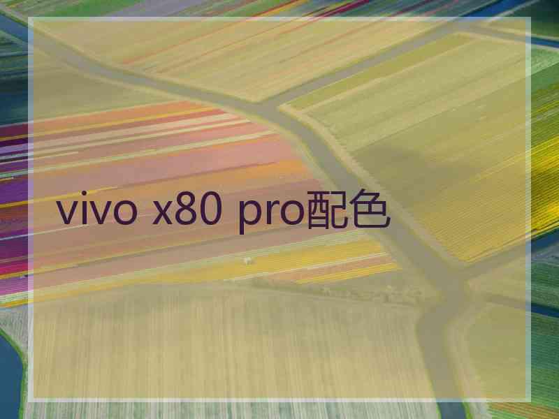 vivo x80 pro配色