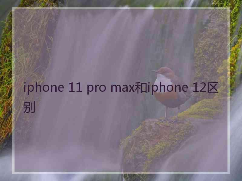 iphone 11 pro max和iphone 12区别