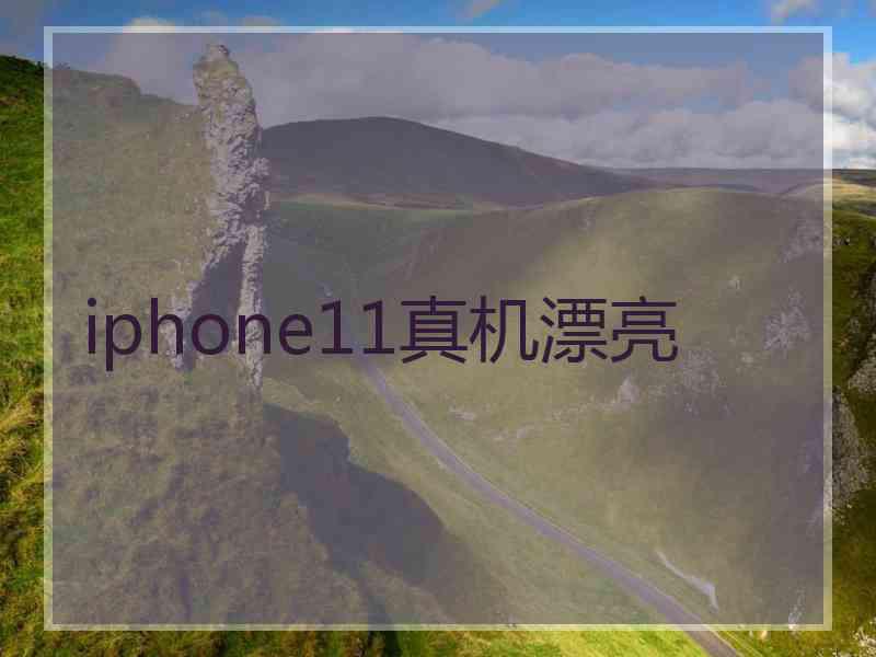 iphone11真机漂亮