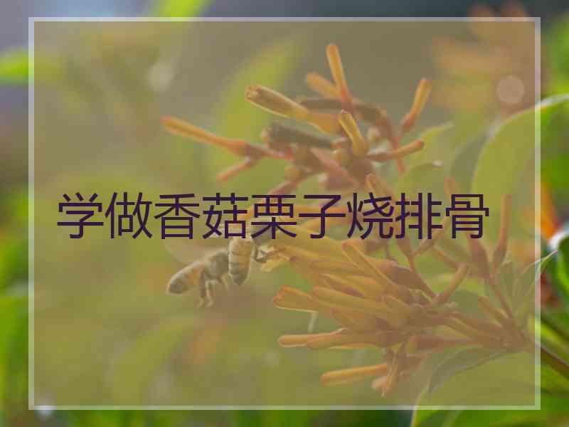 学做香菇栗子烧排骨