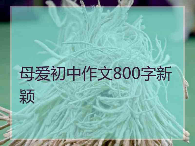 母爱初中作文800字新颖