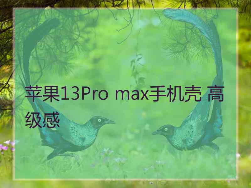 苹果13Pro max手机壳 高级感