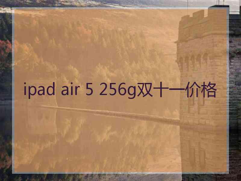 ipad air 5 256g双十一价格