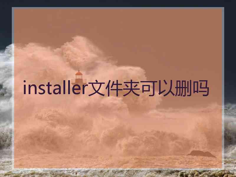 installer文件夹可以删吗