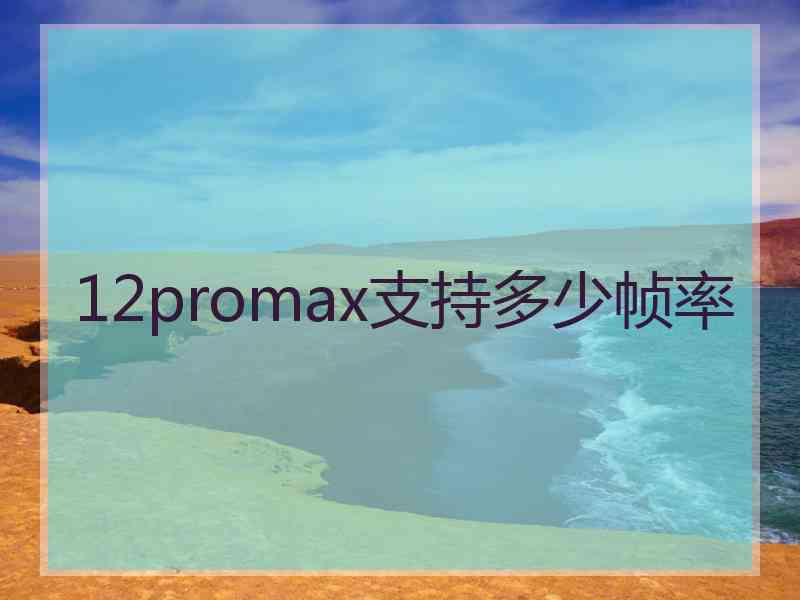 12promax支持多少帧率