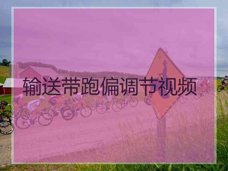 输送带跑偏调节视频